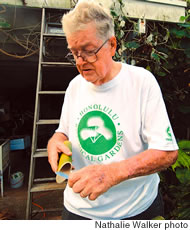 Cutting bamboo, says John White, is not recommended for beginners