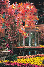 The Bellagio Atrium is all decked out for spring