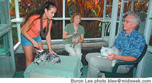 The Cozy Cat Lodge family (from left) manager, Nani Busch, and Jan and Bill Schmidt spend time with their feline clients