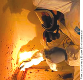 A mold inspector treats a moldinfested wall