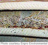 Bed bug feces on a mattress