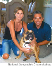 Cesar Millan with Daisy Fuentes and dog Alfie