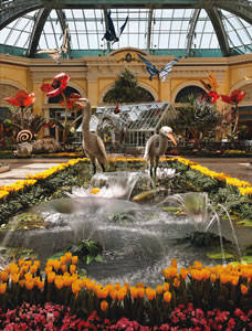 It’s spring at the Bellagio Conservatory and Botanical Garden