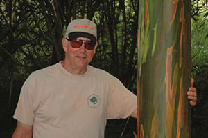 Bill Cowern with one of his eucalyptus trees