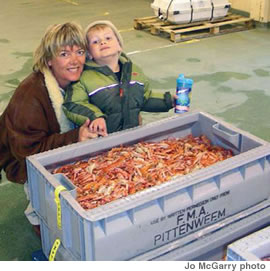 Jo McGarry and son Max with prawns in Pittenweem, Scotland