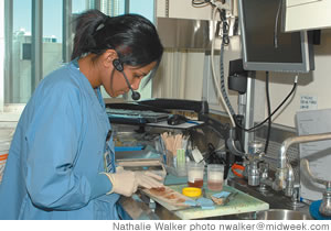 Pathologist assistant in training Kathryn Gasilos