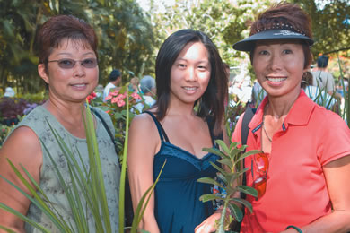 Janice, Jana and Linda Shiraishi