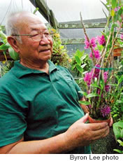 Orchid Show judge Chang says his Dendrobium Bracteosum blooms last for three months