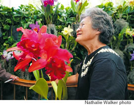 Honolulu Orchid Society president Williette Wong
