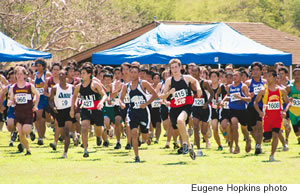 Thundering herd: boys varsity runners take off at the start of the Kaiser/Honolulu Marathon Invitational