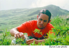 Kaleo Wong checks a native plant high above the valley floor