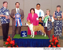 Maka Koa with, from left, ring steward Dwight Yeager, judge Norman Kenny, handler Faye Yamamoto, owner Ed Arcalas, Nico Arcalas, and Barbara Ankersmit and Gerri Cadiz of the Kennel Club