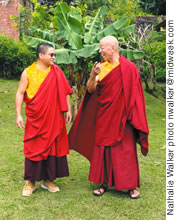 Lama Gyeltshen is studying under Lama Rinchen