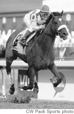 Barbaro, here running away with the Kentucky Derby, was fighting for his life as MidWeek went to press