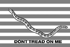 Don’t Tread On Me, America’s unofficial Navy flag in 1775