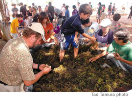 Kaliko Thomas, 9, in a bed of seaweed