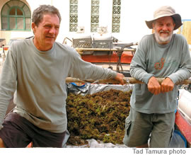 Paul and Charlie Reppun take the bad algae to fertilize their farm