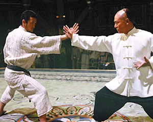 Jet Li's Fearless