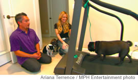 Denise Richards, and Lois Davis on the ground with her dog Scrappy