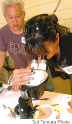 Holly Pontes gets an up-close look at a worm under a microscope during a workshop with Dr. Sam James. Dennis Imoto looks on
