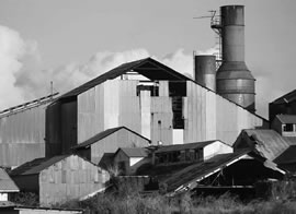 The old Koloa Mill on Kauai should be preserved as living history