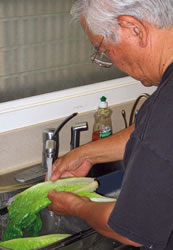 Donald Kaita meticulously washes lettuce