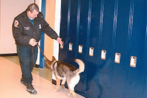 A drug-sniffing doh searches school lockers