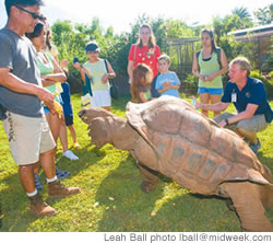 Glenn Doi, a keeper in the Honolulu Zoo's reptile area