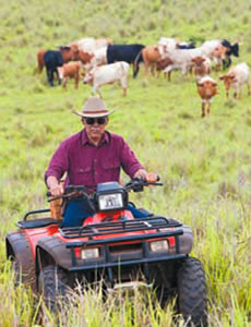 The modern paniolo rides an ATV with cell phone and laptop