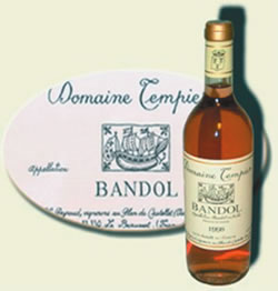 Perhaps the finest rose in France
